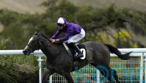 Group-race assignments on the horizon for Ornellaia