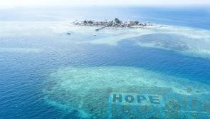 Still time to save coral reefs, says British Paralympian swimmer