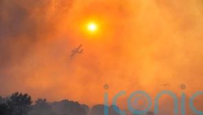 Most holidaymakers return to their campsites after Pyrenees wildfire