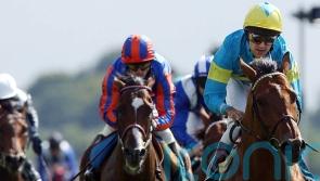 Cumani recalls fantastic campaign with International star Falbrav