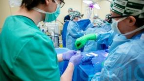 Pig kidneys demonstrate ‘life-sustaining kidney function’ in a human – study