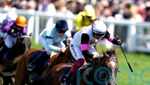 Moyglare mission a possibility for Porta Fortuna