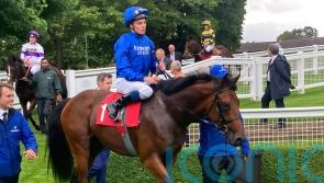 Arabian claims Stonehenge Crown for Appleby