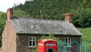 Hundreds of red phone boxes up for community ‘adoption’