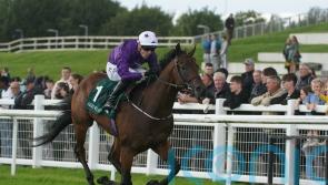 Phoenix hero Bucanero Fuerte set for National service