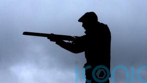 Trophy-hunting ban has ‘less than 10%’ chance of becoming law, says opponent