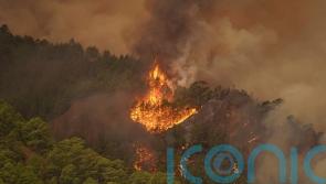 Thousands evacuated as out-of-control wildfire scorches Tenerife