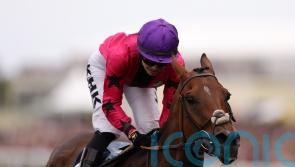 Osborne to retain Scampi ride in Ebor assignment