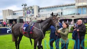 Lord Massusus takes Desmond Stakes honours at Leopardstown