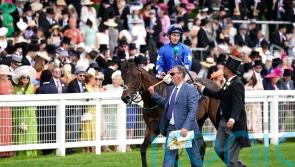 Snellen seeking to make Debutante impact