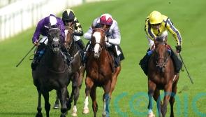 Miaharris swoops to keep unbeaten record intact at Newbury