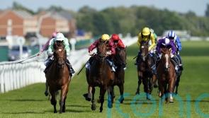 Witch Hunter swoops for Hungerford Stakes glory