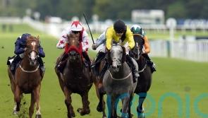 Desperate Hero delights Channons with Newbury win