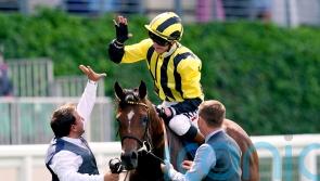 Eldar Eldarov taken out of intended Curragh engagement
