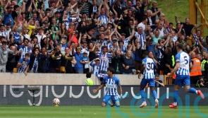 Many Brighton players capable of scoring like Kaoru Mitoma’s stunner – De Zerbi