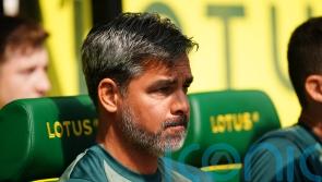 David Wagner encouraged by Norwich’s start to the season