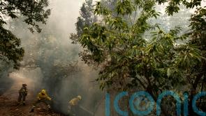 Cooler weather overnight helps firefighters battling Tenerife wildfire