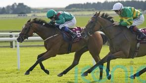 Shamida emerges as a staying filly to follow