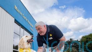 Therapy dog Sandi brings comfort to hospice patients in Belfast