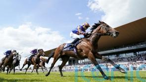 Paddington headlines select Juddmonte International line-up