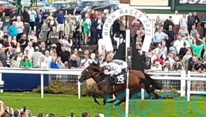 Sophia’s Starlight connections happy to see filly fulfilling her promise