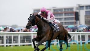 Sweet William backers guaranteed Ebor run