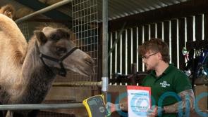 11,000 animals ‘lured’ on to scales at Bedfordshire zoo for annual weigh-in