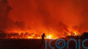 Greece wildfire forces evacuation of more villages and hospital