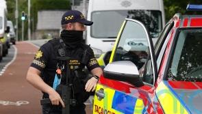 Armed gardai to be deployed in Dublin in multi-million euro overtime plan