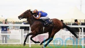 Paddington and company all set for a battle royal on the Knavesmire