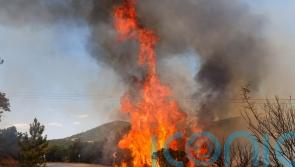 European crews join battle against wildfires that have left 20 dead in Greece