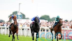 O&rsquo;Brien points to tough campaign after Paddington eclipse