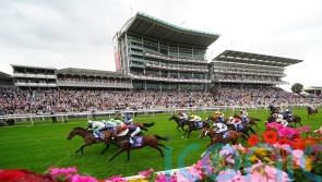 Equilateral swoops late to grab York prize