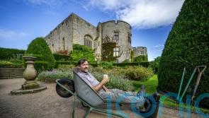Garden is my office: National Trust veteran gardener to retire after 41 years