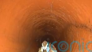 Sewer workers ‘quack’ case of the blocked pipe as duck found roaming underground