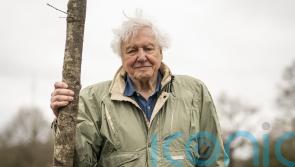 Sky announces House Of Kardashian and David Attenborough documentaries