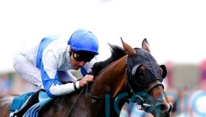 Ropey Guest earns deserved victory on the Knavesmire