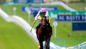 Nostrum primed to show star potential once more