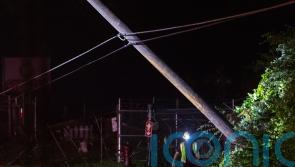 At least five people dead after Michigan storms down trees and power lines