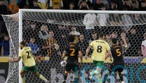 Nahki Wells ends goal drought to earn point for Bristol City at Hull
