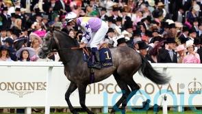 Angel Bleu sparks dream day for Beckett