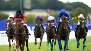 All systems go for royal Classic contender Desert Hero