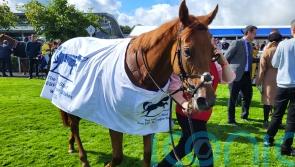 Ocean’s quest proves successful at Naas