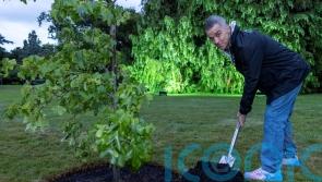 Robbie Williams plants tree at Heritage Live gig on King’s Sandringham Estate