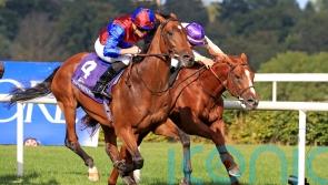 Luxembourg and Auguste Rodin both Irish Champion-bound