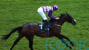 Shaquille proving a willing student in pre-Haydock stalls tuition