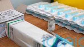 Expert calls for future pandemic planning amid ‘signals’ from bird flu