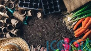Organic September: How do you know if you are really gardening organically?