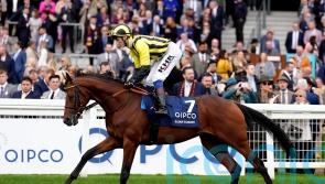 Curragh and Irish St Leger still the aim for Eldar Eldarov