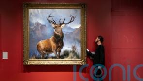 Monarch of the Glen painting moved to new spot in gallery ahead of opening